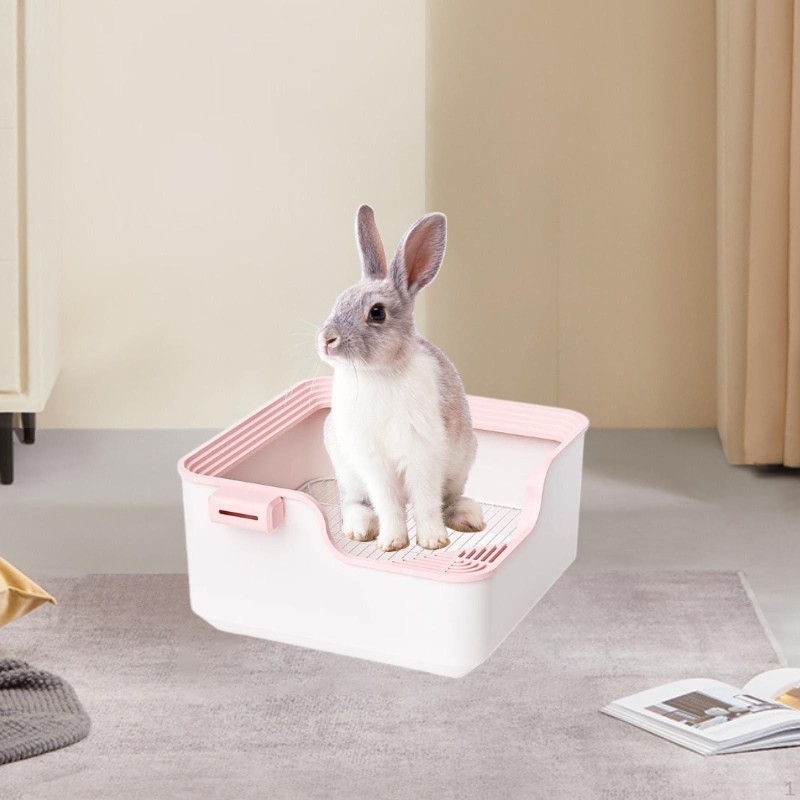 Kaninchentoilette - Töpfchentraining für erwachsene und junge Chinchillas