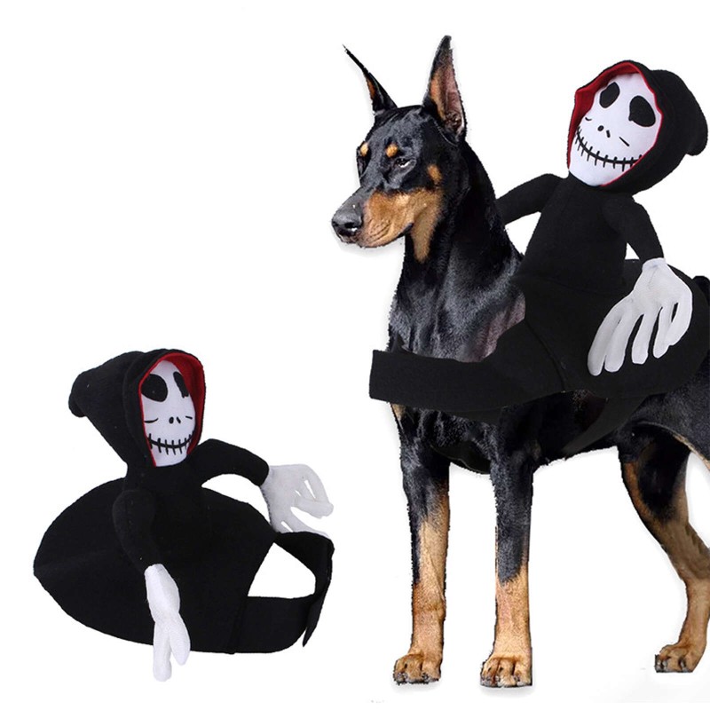 Halloween Haustier Transformator Kostüm Reiten Kostüm Hund Cospaly