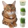 Hydrokultur-Katzengras-Box-Pflanzgefäß, leicht zu züchten, Gras-Keimtablett, Katzengras-Anbaubecher, Garten