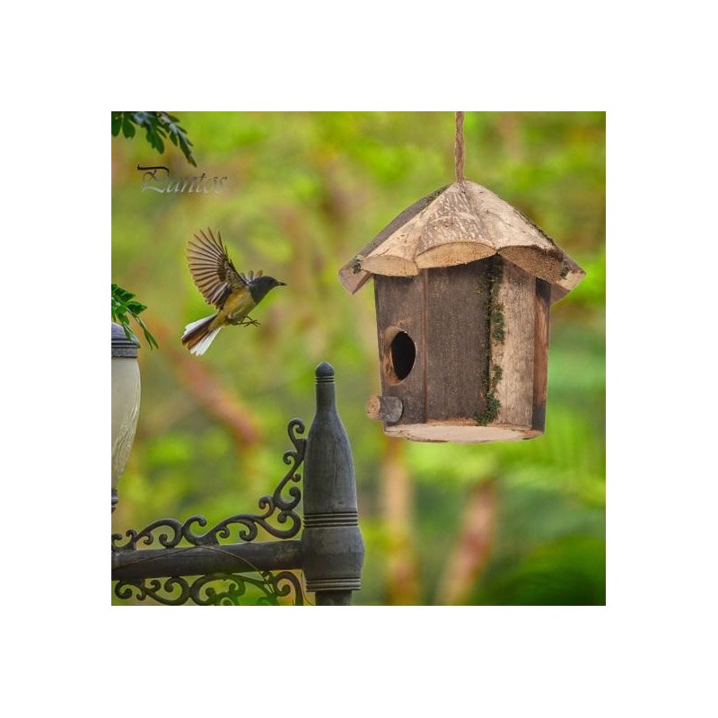 Kolibri-Haus zum Aufhängen im Freien, Vogelhäuschen aus Holz mit Trageband, einfach zu installieren, glatte Kante, gratfrei,