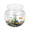 Niedliches transparentes rundes Fischglas in Kugelform, bruchsicheres Anti-Fall-Aquarium für Hochzeiten, Wohnzimmer