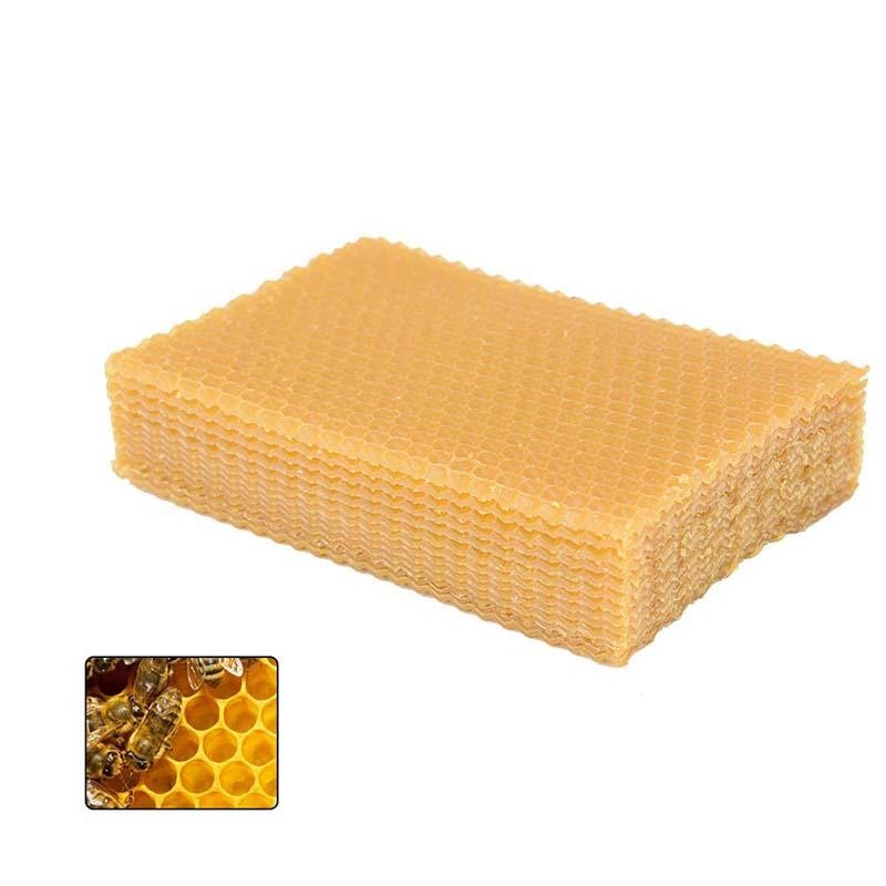 10Pcs Gelb Waben Foundation Bee Hive Wachs Rahmen Bienenzucht Ausrüstung Blatt