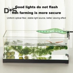 Aquariumlicht,...