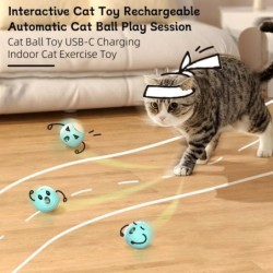 Interactive Cat Ball Toy...