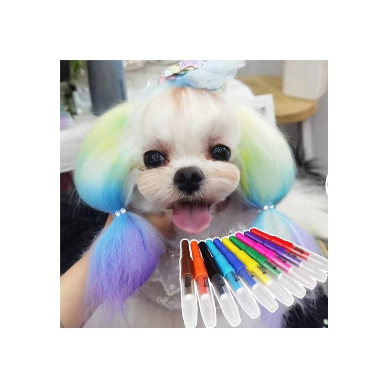 10Pcs Pet Dye Stick Leicht Bedienen Zier Gesunde Pet Haar Kreide Malerei