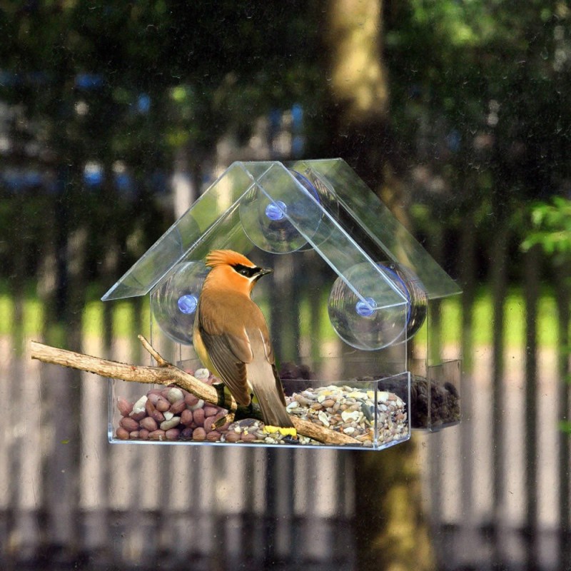 Ramidos Klarglas-Fensterbetrachtung, Vogelfutter, Hoteltisch, Samen, Erdnuss, zum Aufhängen, Saugnapf