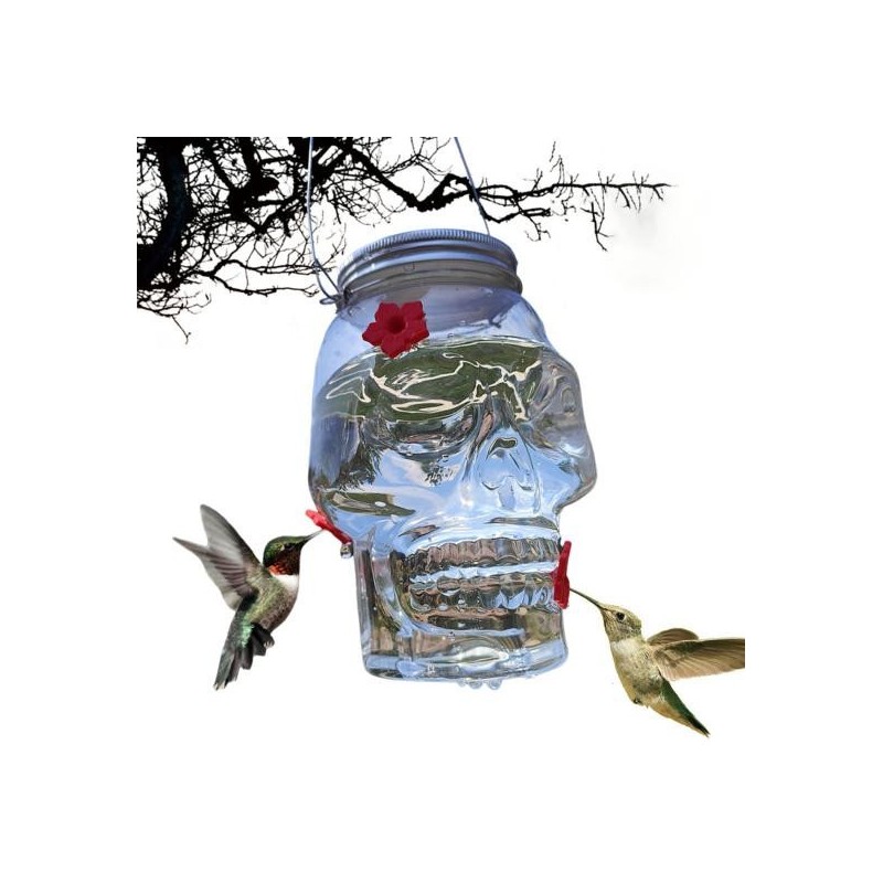 Skull Bird Feeder Outdoor Hanging Jar Hummingbird Feeder with 3 Flower Ports Halloween