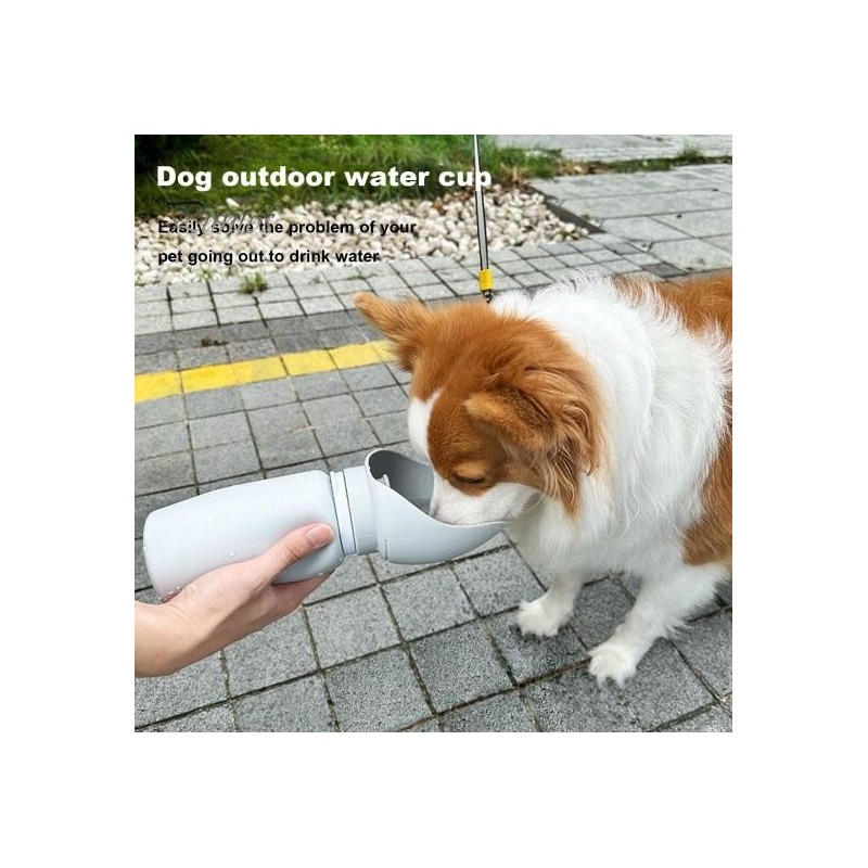 Hundewasserflasche, tragbare 19oz/550ml Reise-Hundewasserflasche mit faltbaren Näpfen, auslaufsicherer Trinknapf für Spazierg