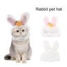 Pet Headgear Cute Carrot Cartoon Bunny Hat Headwear Photo Props Dress Up Accessories