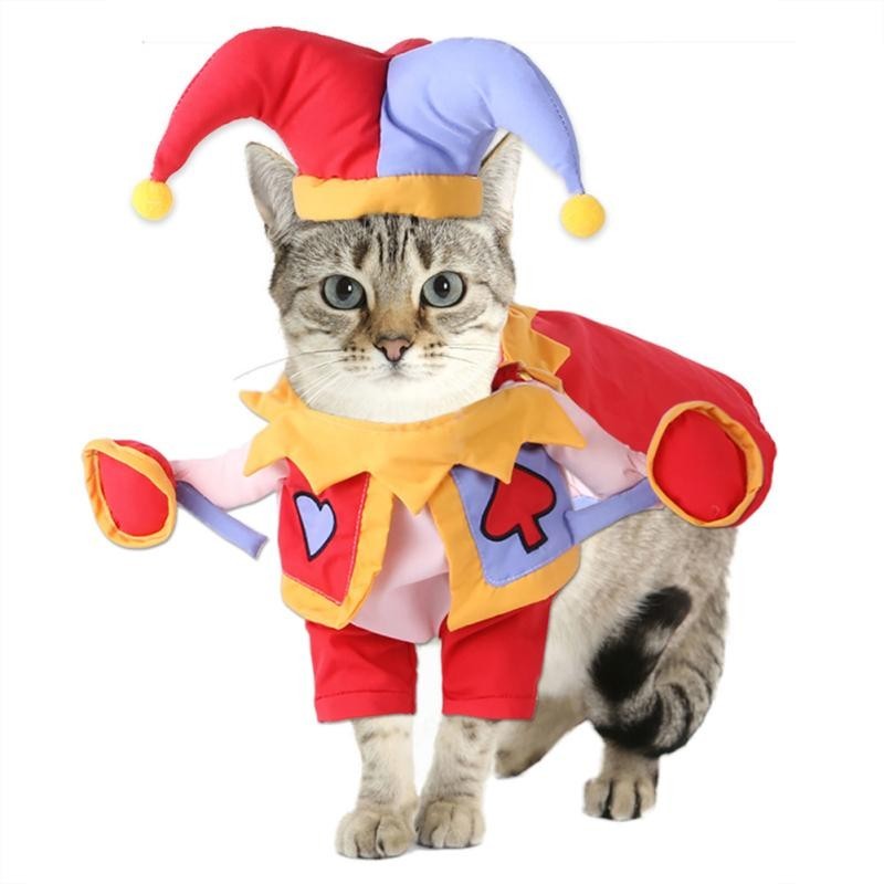 Haustier Cartoon Zauberer Dress Up Outfit Colorblock Design Hunde Katzen Stehendes Kostüm für Halloween