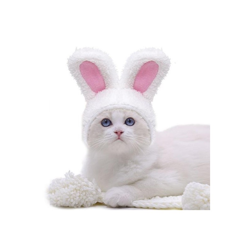 Cat Headgear Exquisite Adorable Soft Cartoon Rabbit Ears Pet Cat Dog Hat Pet Supplies