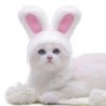 Cat Headgear Exquisite Adorable Soft Cartoon Rabbit Ears Pet Cat Dog Hat Pet Supplies