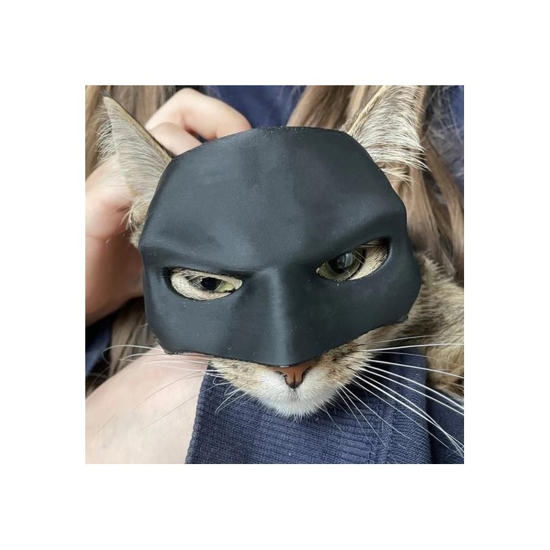 Katzenmaske Halloween Schwarze Halbgesichtsmaske Haustiere Maske Fledermaus inspirierte Maske mit