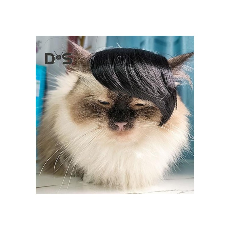 Pet Wig Funny Cat Toupee Hat Dress Up Headgear Cosplay Costume Accessories Hair Decoration for Halloween Events Photos Outdoo