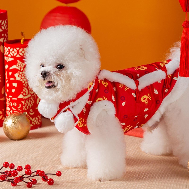 Hund Tang-Anzug Winter Welpen Kleidung mit einem Schal Weiche Outfits Jahr Haustier Kleidung Kostüm für