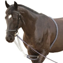 Longierzaum Pferd Canter Soft Rope