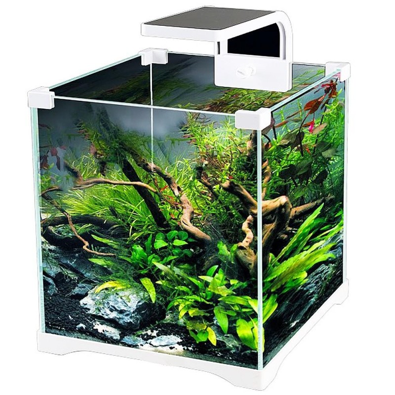 Sunsun O!-Led Aqua - 15L gebrauchsfertiges Aquarium-Set