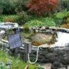 Solar-Teich-Sauerstoffgenerator, Aquarium-Sauerstoffbelüfter, 2,5 W, Solar-Luftsauerstoffpumpe, Angelbelüfter mit Rohr, Luftb