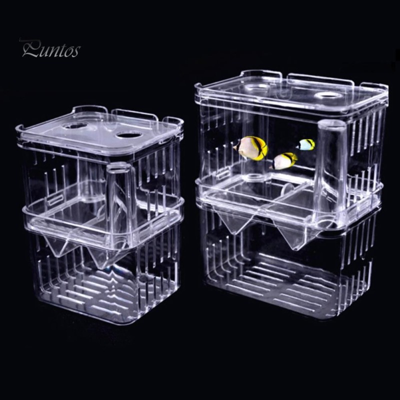 Acryl Transparent Doppelschicht Aquarium Fischzucht Isolation Box Inkubator