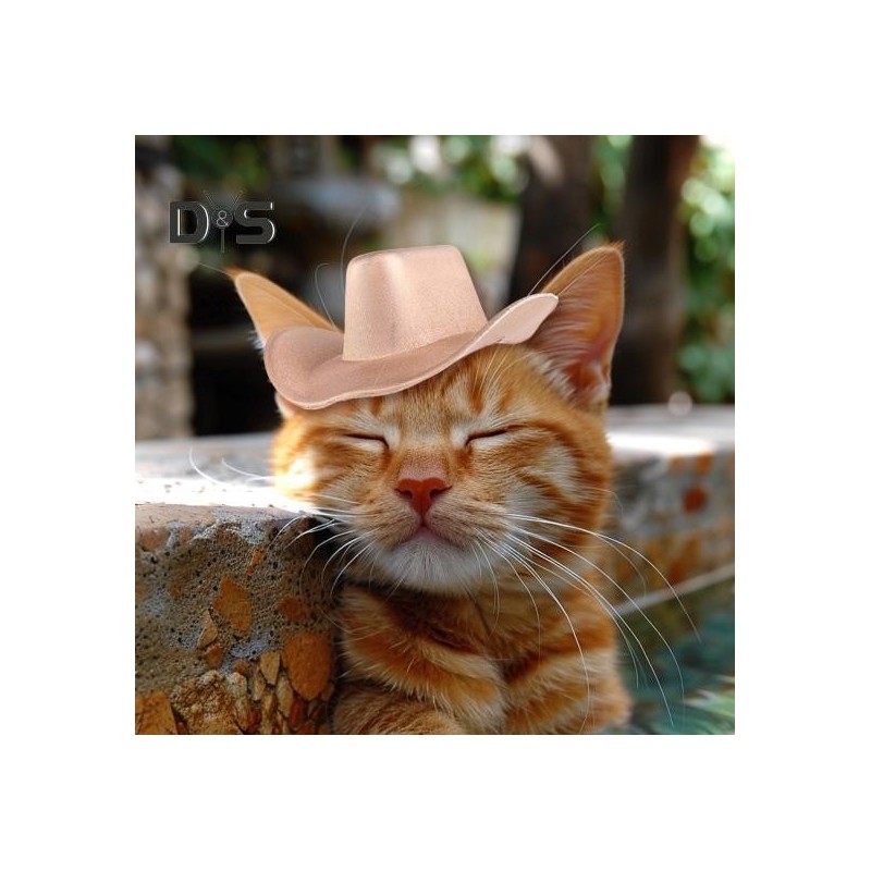 Haustier-Cowboyhut für kleine Hunde und Katzen, Cosplay-Kappe, Strand-Visierhut, Welpenkostüm, Party im Freien, Zubehör, Foto