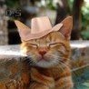 Haustier-Cowboyhut für kleine Hunde und Katzen, Cosplay-Kappe, Strand-Visierhut, Welpenkostüm, Party im Freien, Zubehör, Foto