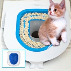 Katzentoiletten-Trainingsse...