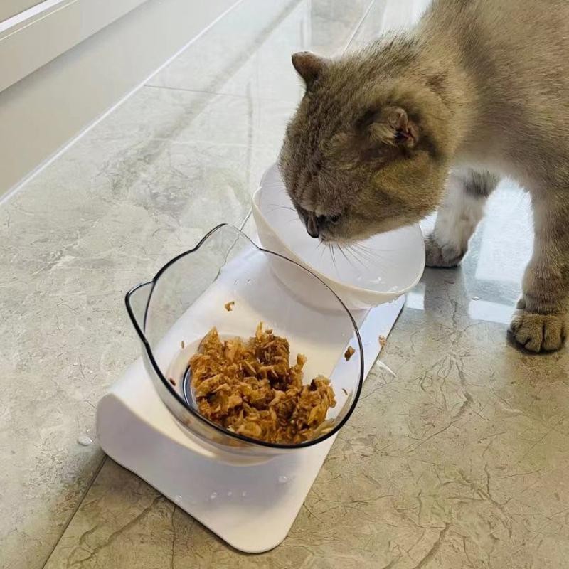 Doppelte Futternäpfe mit erhöhtem Ständer, rutschfeste Katzennäpfe, Futter- und Wassernäpfe für Katzen, Hunde, Futterspender,