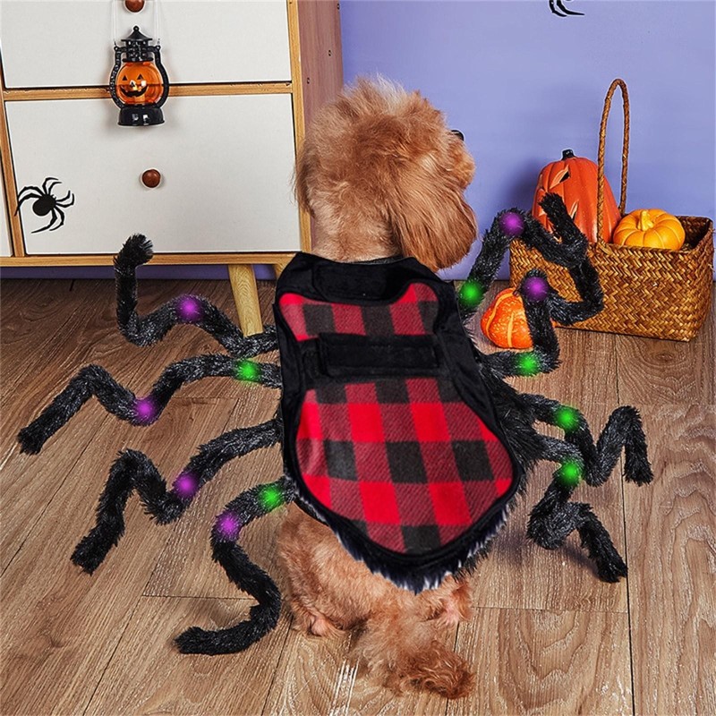 Spinnen-Halloween-Hundekostüm für kleine und mittelgroße Hunde