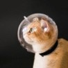 Gatonine Katzen-Spacehelm-Maulkorb, L, 1 Stück