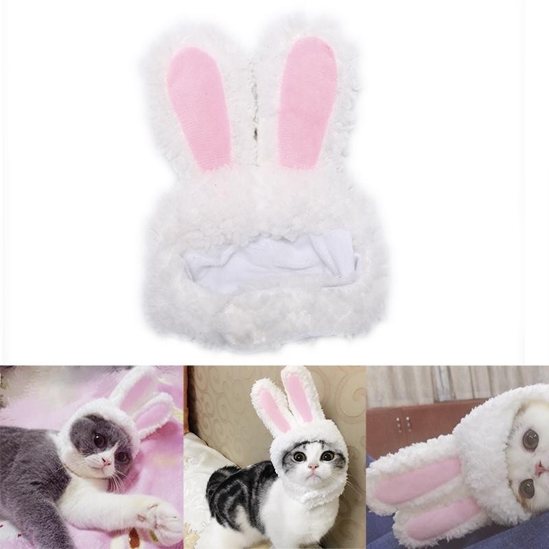 Katze Bunny Kaninchen Ohren Hut Haustier Katze Cosplay Kostüme für Katze kleine Hunde Party