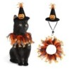 Halloween Hat Scarf Set, Cat Costume