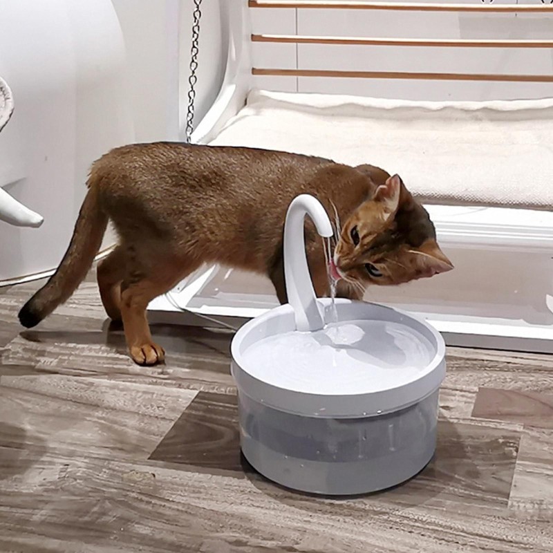 Haustier-Wasserspender für Katzen, 2 l, besonders leise, automatisches Trinken mit LED-Licht für Katzen und Hunde