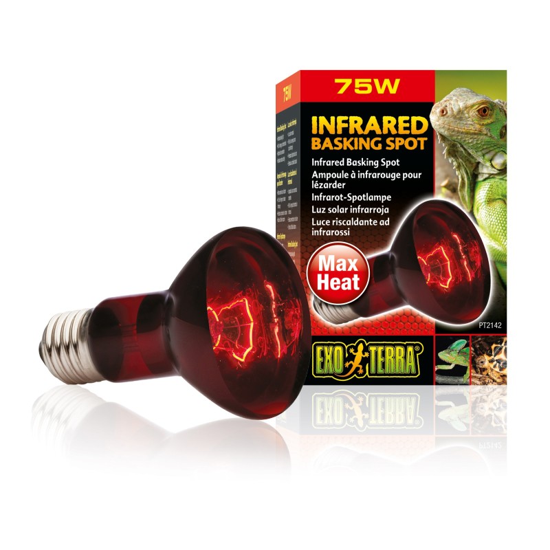 Terrarienlampe Exo Terra Infrared Basking Spot 75W