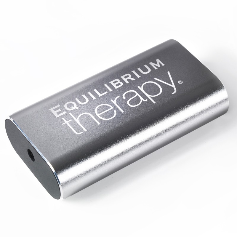 Ersatzbatterie Massagematte für Pferd Equilibrium