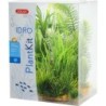 Deko Plantkit Zolux idro n°3 (x6)