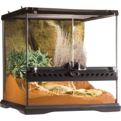 Glas Terrarium Mini -...