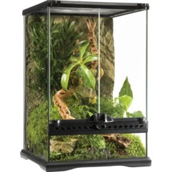 Glas Terrarium Mini -...