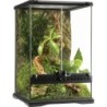 Glas Terrarium Mini - Mini/Tall