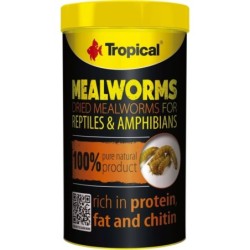 Tropical Mealworms - 250 ml