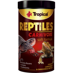 Tropical Reptiles Carnivore...