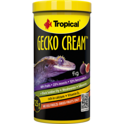 Tropical Gecko Cream - Feige