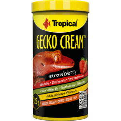 Tropical Gecko Cream -...