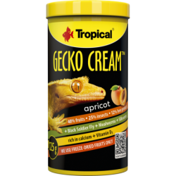 Tropical Gecko Cream -...