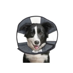 ZenPet Zen Collar - M