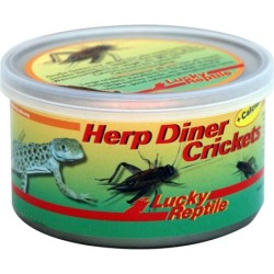 Lucky Reptile Herp Diner...