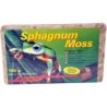 Lucky Reptile Sphagnum Moos, 100 g