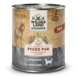 Wildes Land | Pferd mit...