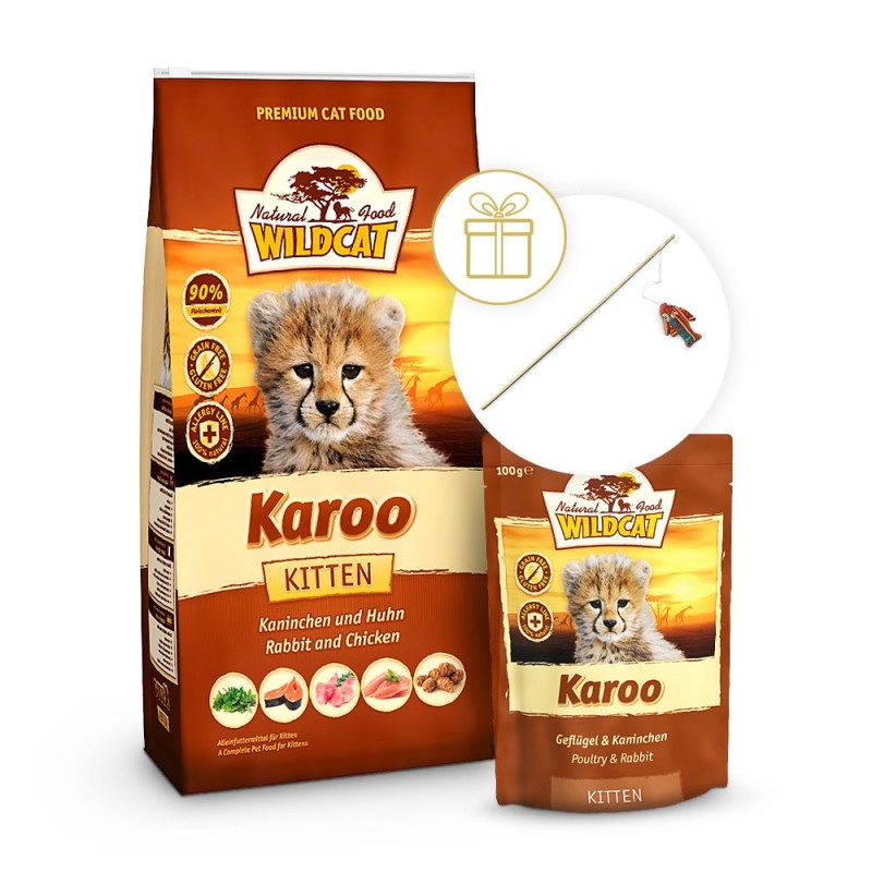 Wildcat | Karoo Kitten Vorteilpaket | Kitten | 1 Paket