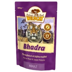 Wildcat | Bhadra Pferd /...