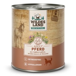 Wildes Land | Pferd mit...